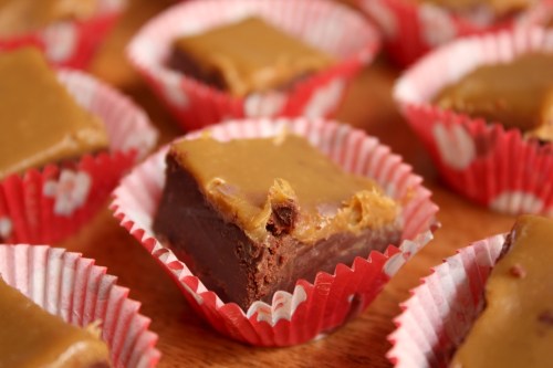 Christmas chocolate gingerbread fudge