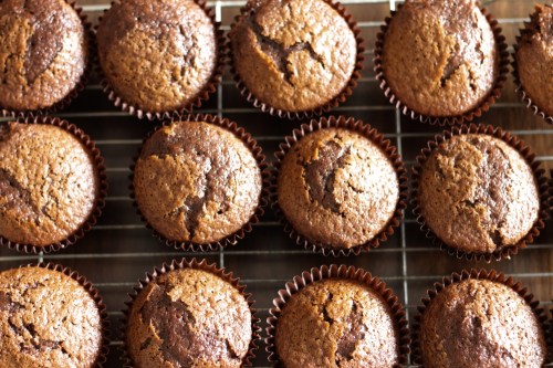 Chocolate caramel cupcakes